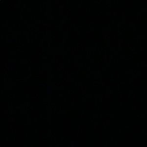 Meet your Posher, Landry